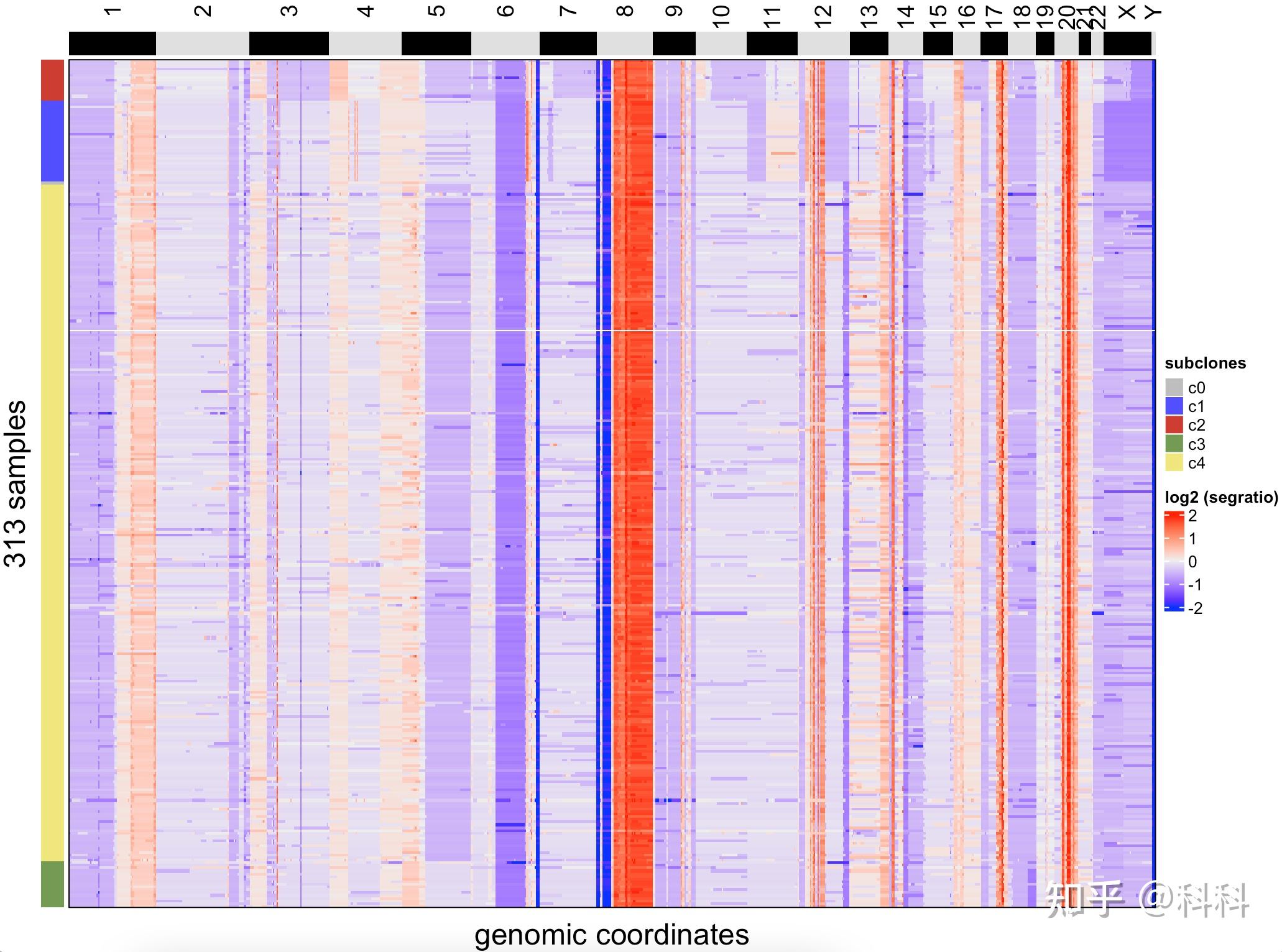  copykit analyze scdna 