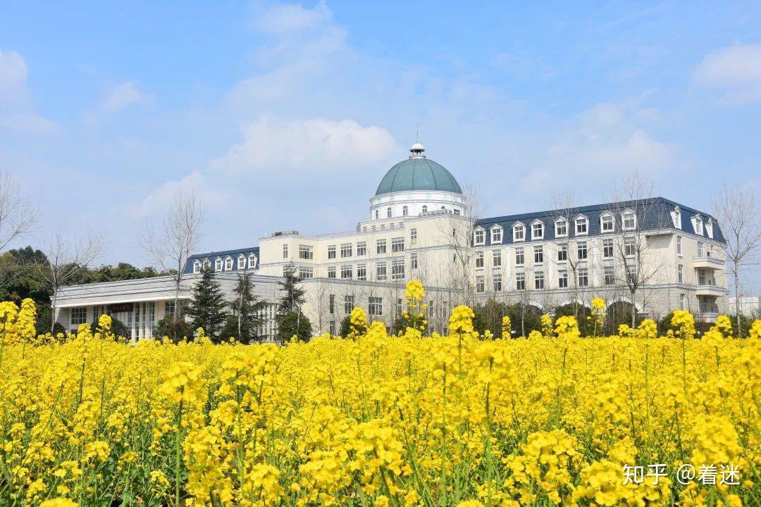 四川大学锦城学院的校园环境如何