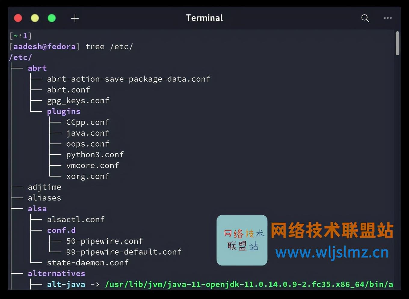 如何限制Linux终端中tree命令递归文件列表的深度? - 知乎