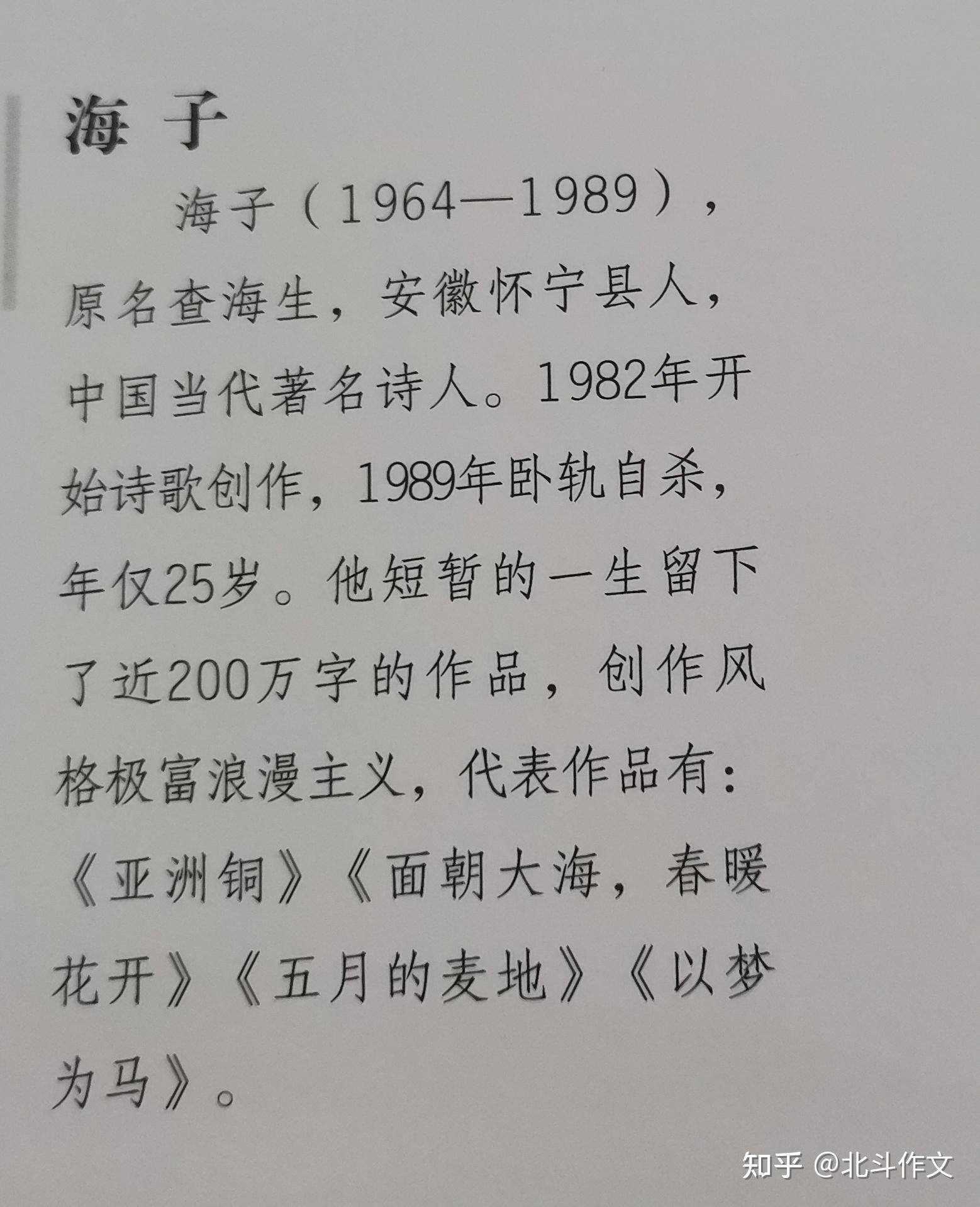 可以介绍一下海子吗