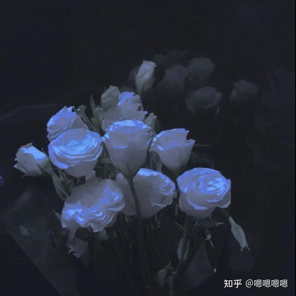 "一千五百方的办公室压得喘不过气, 摔进被子里才松一口气"——简媜