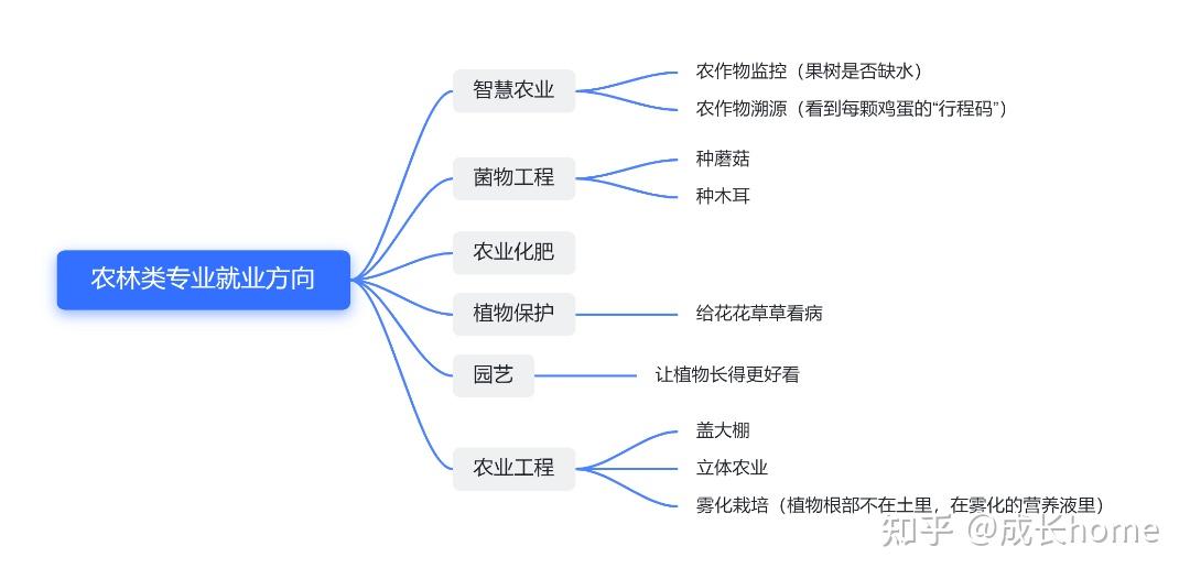 12,文物與博物館學的就業去向文創行業的生力軍,前途無量,前程無憂.