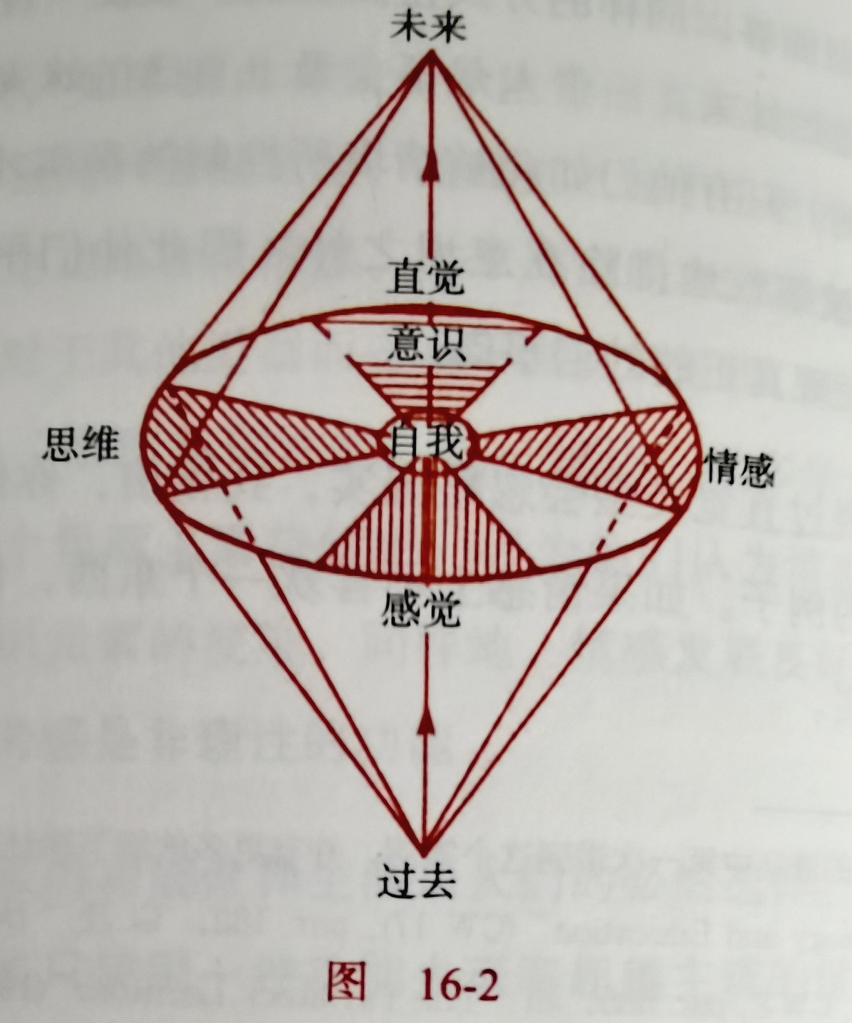 理性的感觉功能加入了他的类型学理论,但是荣格自己没有立即把直觉视