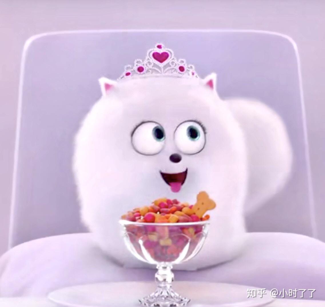 求爱宠大机密小白狗啾啾的头像