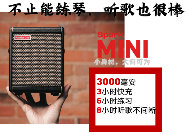 2022年ファッション福袋 【新品未開封】Positive Grid Spark MINI