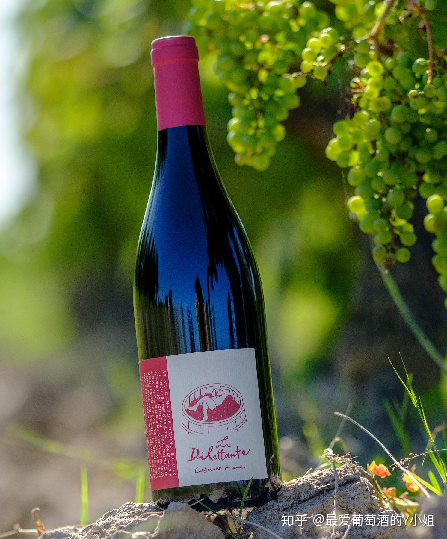 品丽珠自然酒的小世界