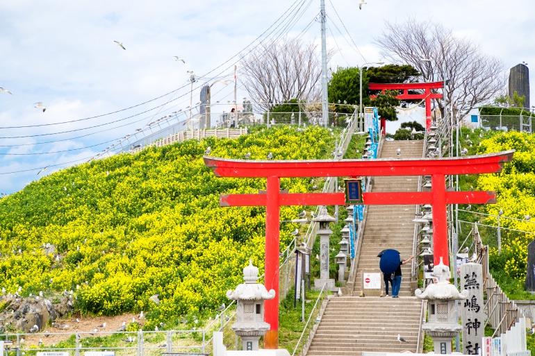 青森县只有苹果吗其实还有港町八户