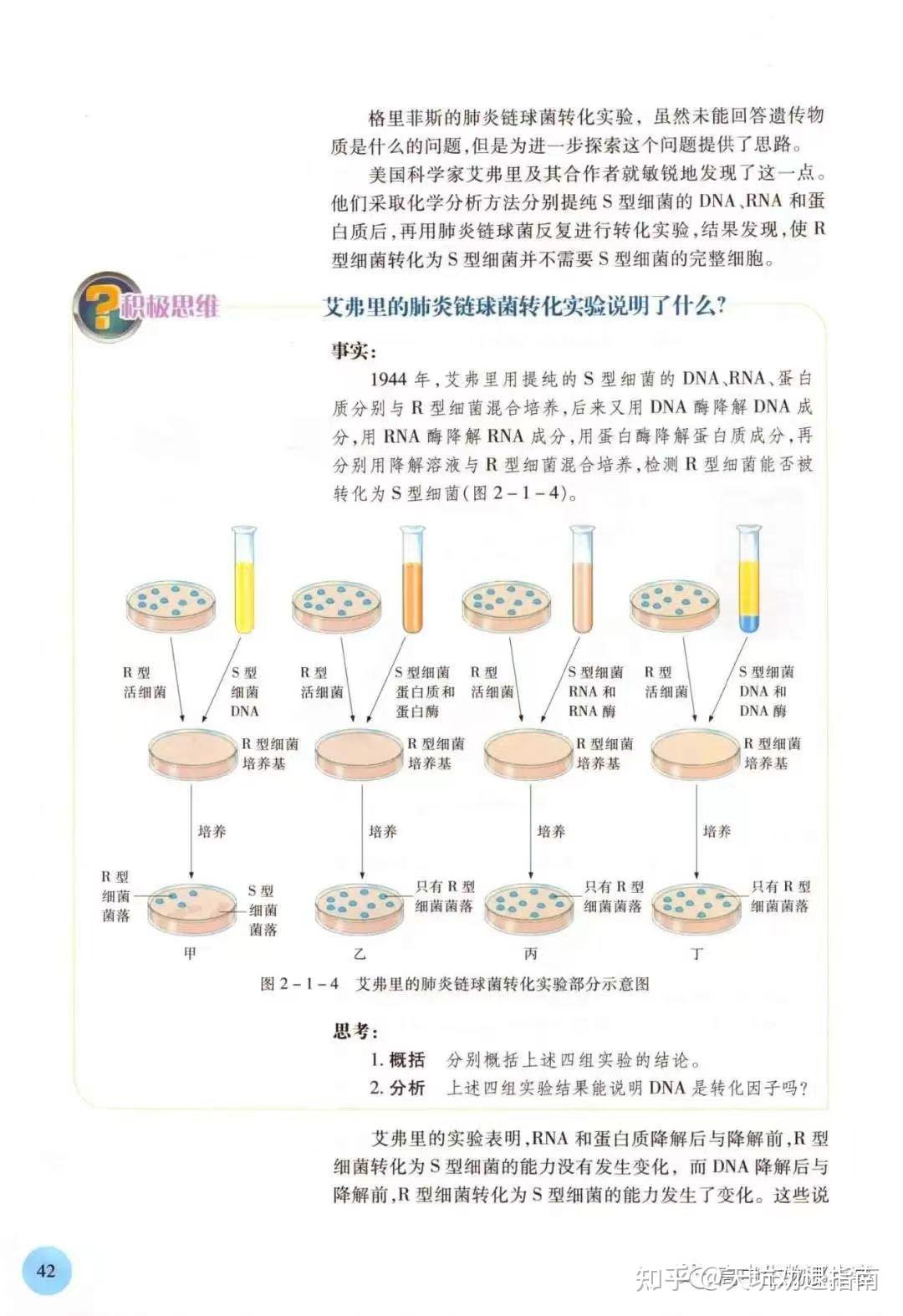 高中生物教材对于艾弗里的肺炎链球菌转化实验的描述问题 - 知乎