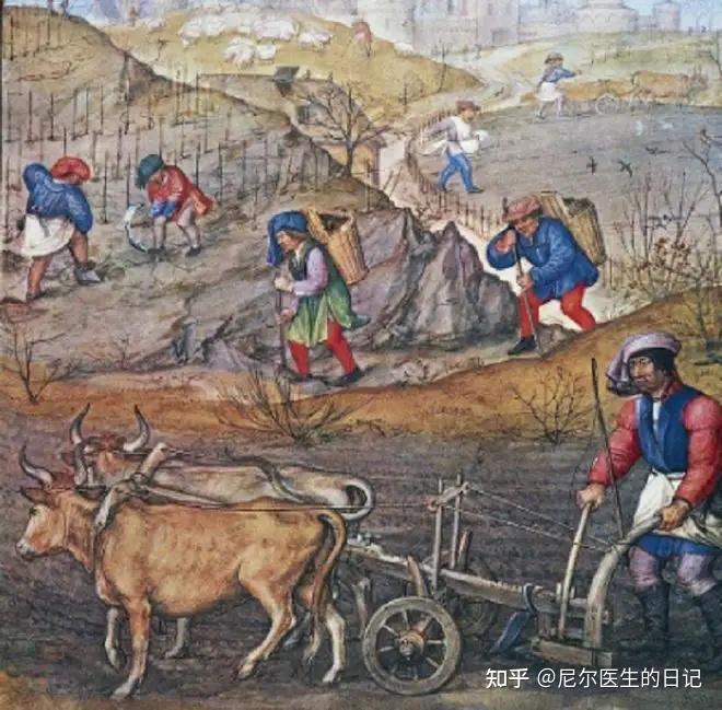 浅析加拿大近代土地结构 - 知乎