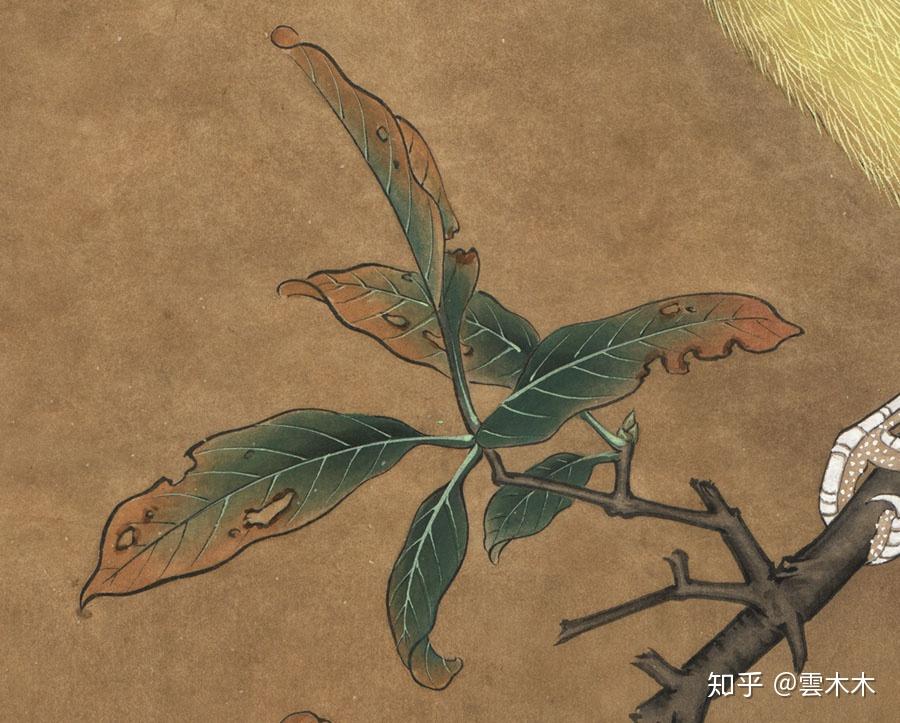 宋小品国画工笔绘画步骤图榴枝黄鸟图尺寸3535cm