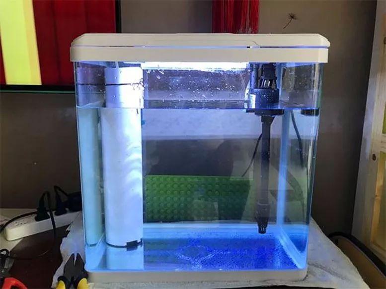 鱼缸硝化系统不够用先做个反气举玩玩