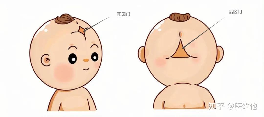 宝宝囟门=命门！何时闭合才正常？ - 知乎