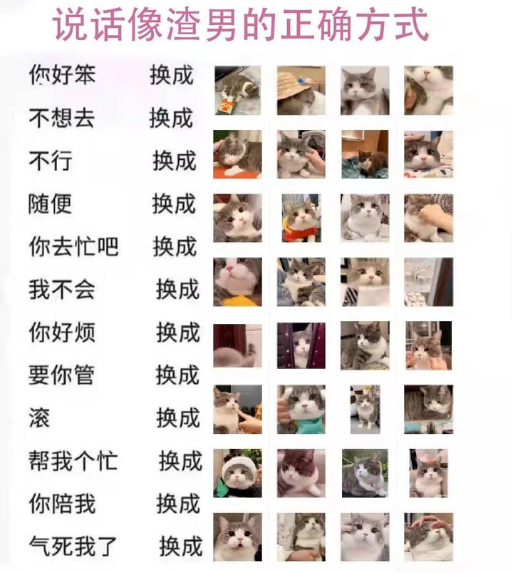 6月9日日寄 - 知乎