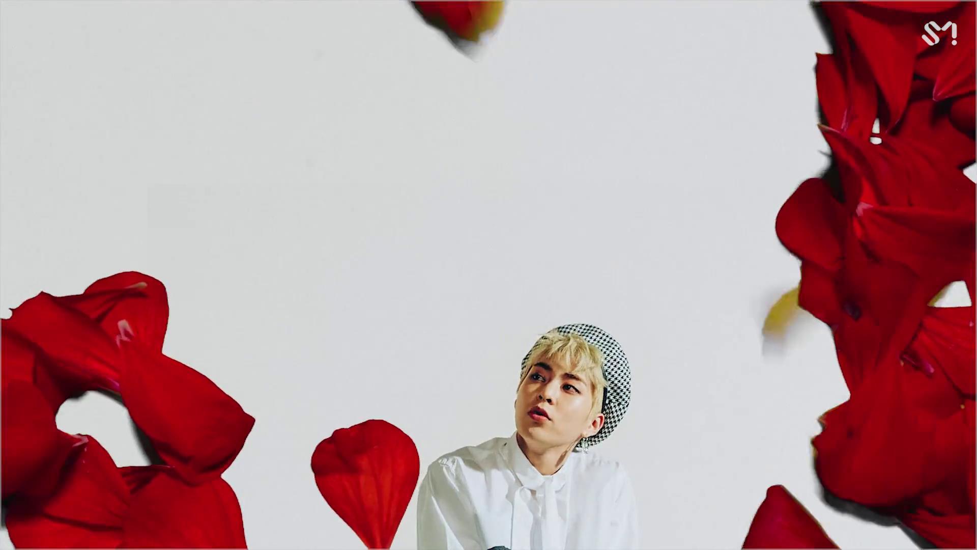 谈谈你对exo-cbx的新歌《花曜日》(blooming day)的mv的理解? - 知乎