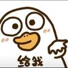 可能都是命吧