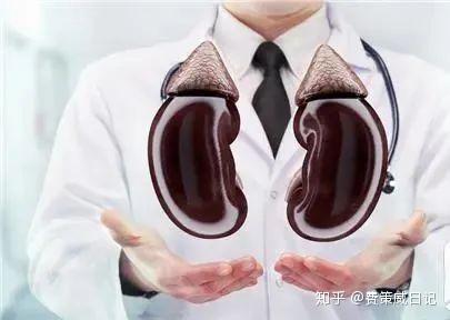 膀胱虚怎么按摩 v2-cb057d4a068a5c3b9746a832db78254c_b.jpg