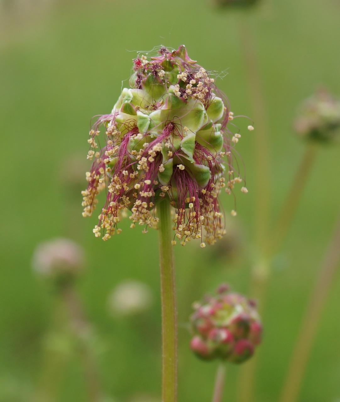 智能家居系统配置指南