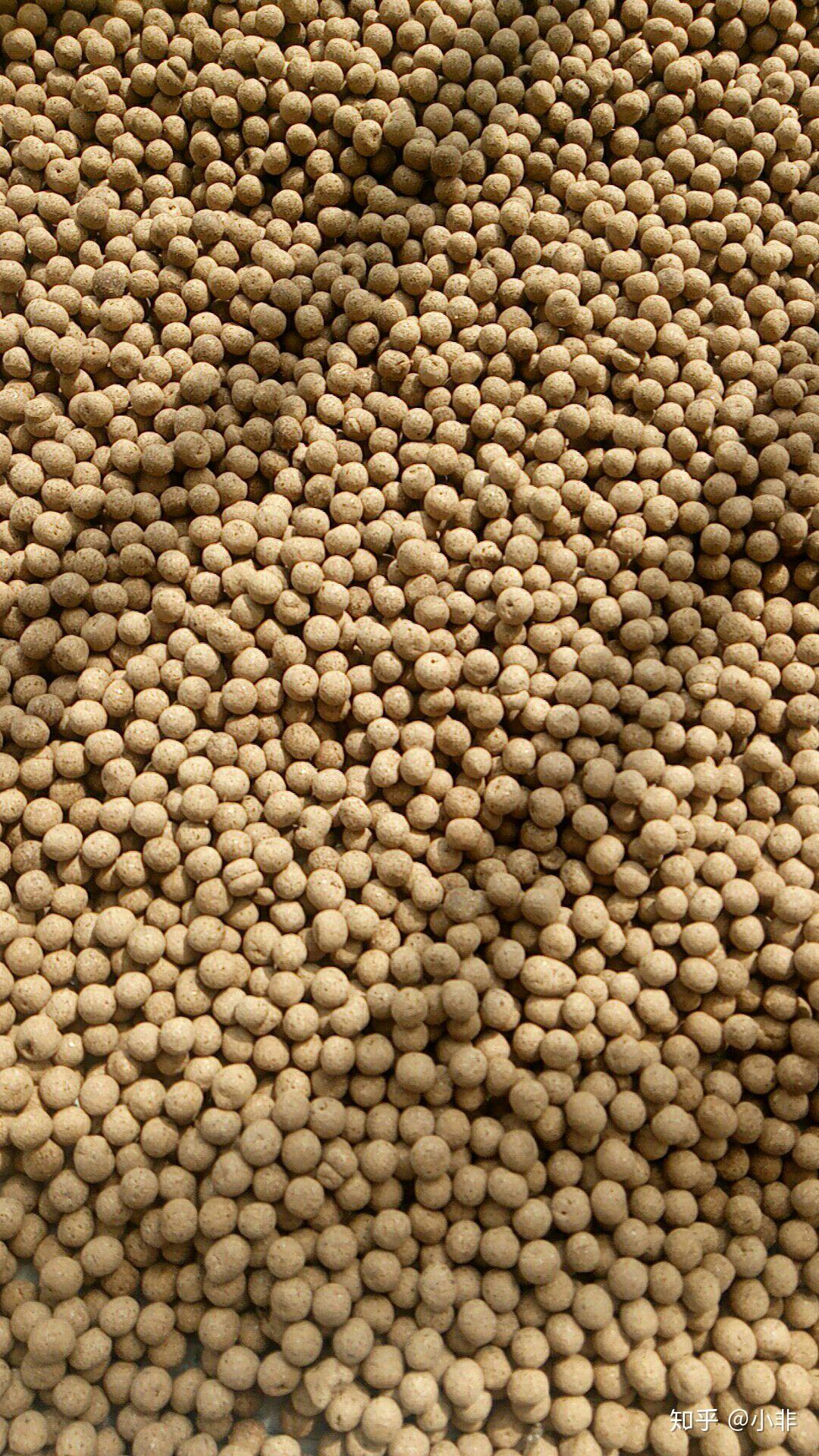 龙龟追风补肾丸,是真的吗?