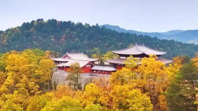 17年陕西黄陵国家森林公园极具投资价值项目招商 知乎