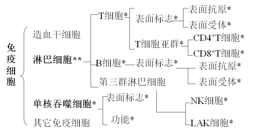 三免疫细胞