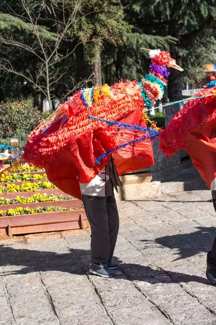 棒棒会和元宵真热闹我在丽江大饱眼福