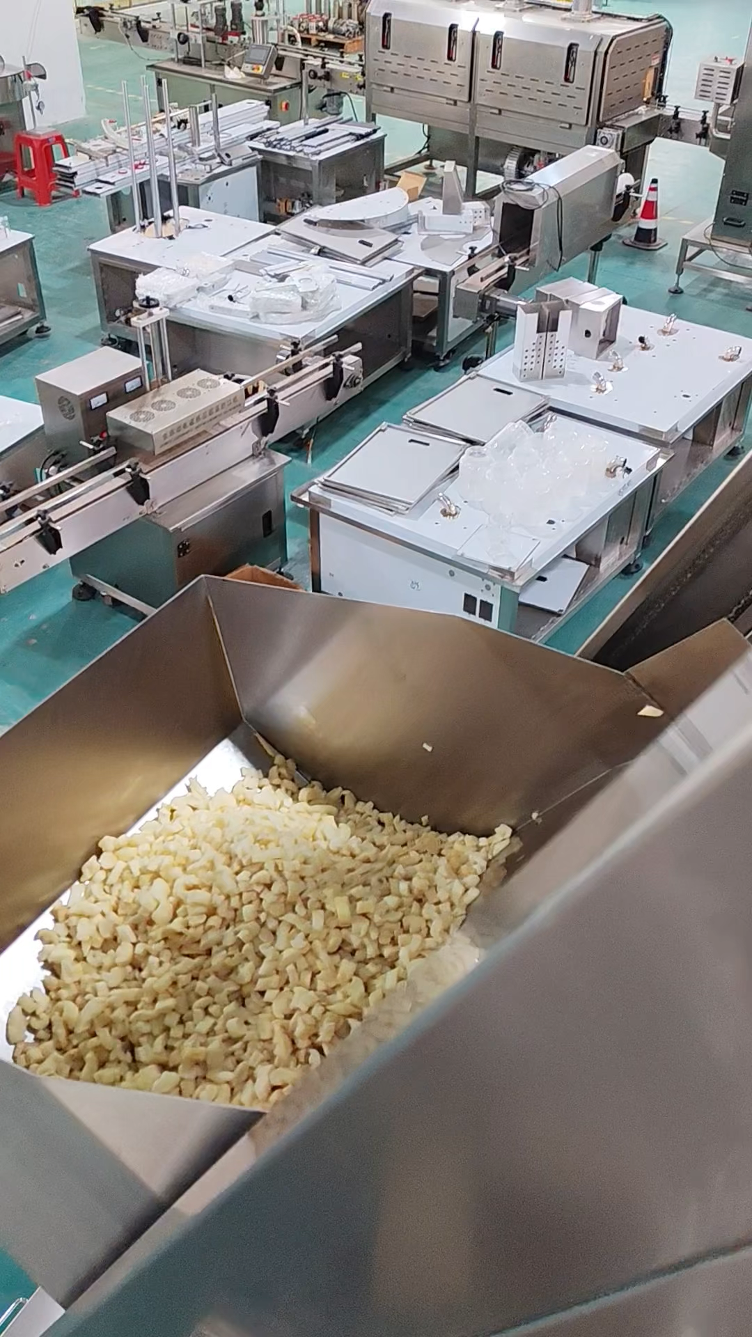 萝卜干定量灌装生产线