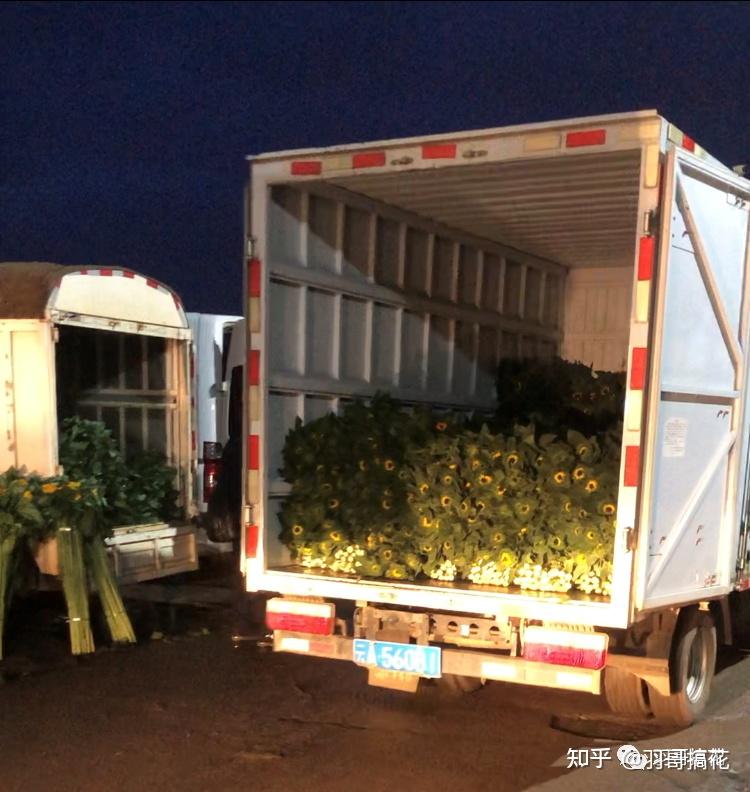 鲜花在哪里批发便宜外省鲜花批发商来昆明斗南怎么找到货源渠道