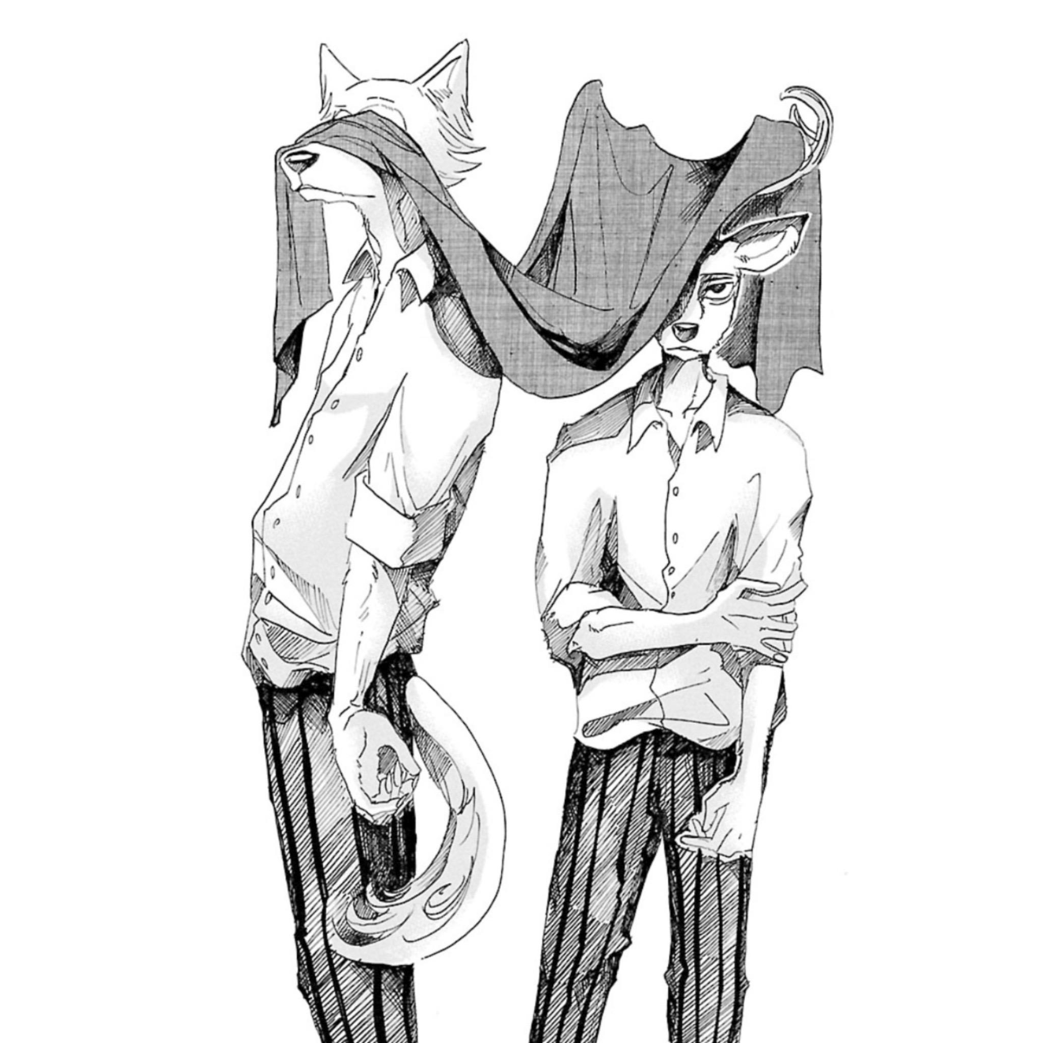 有哪些动物狂想曲beastars好看的头像