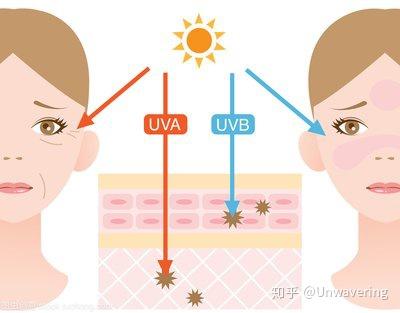 什么是死粉怎么区分 v2-cb240abdaf21dcc5a3f6b0c589022b70_b.jpg