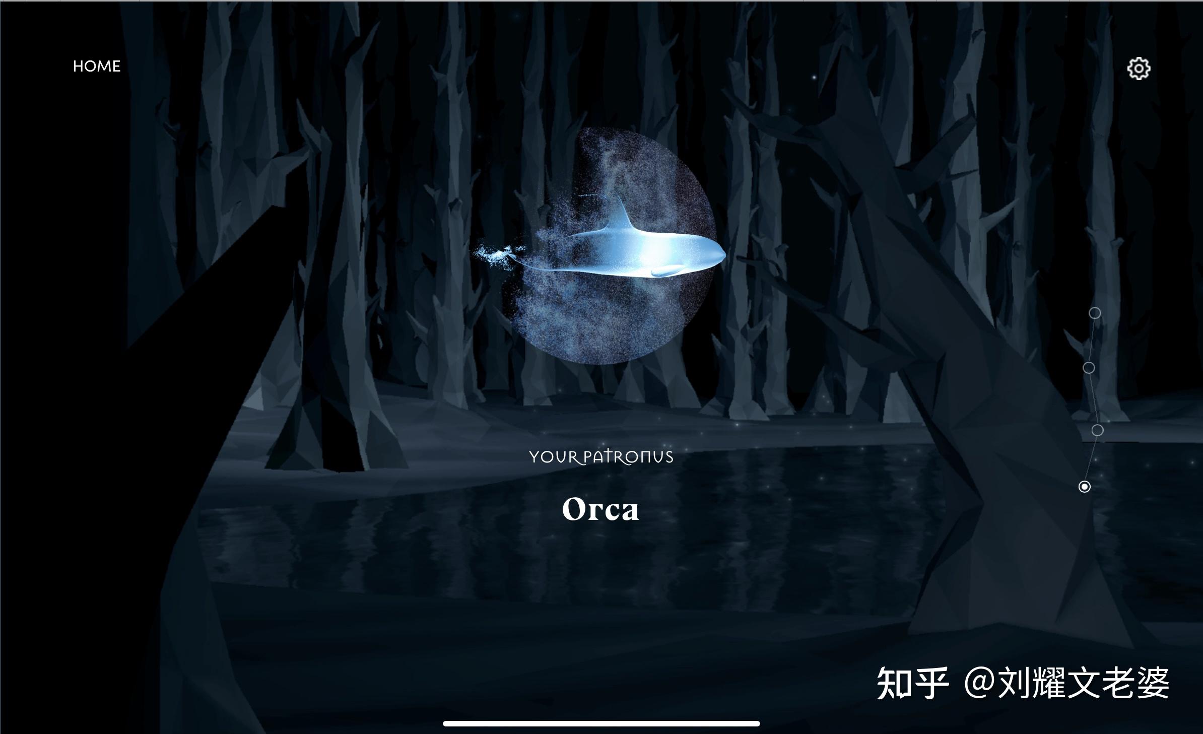 你们哈利波特的守护神都是什么样的