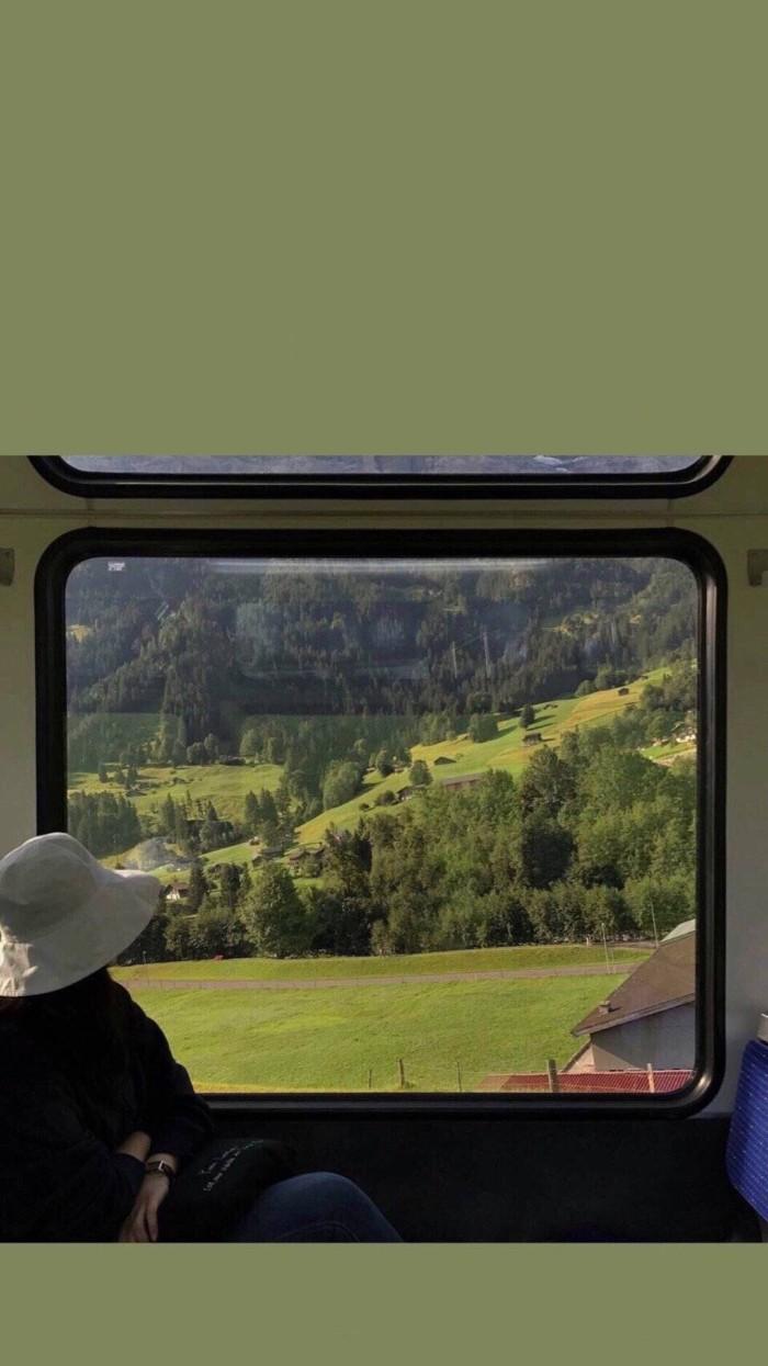 极富美感的绿色系壁纸(无水印)(绿色壁纸唯美可爱)