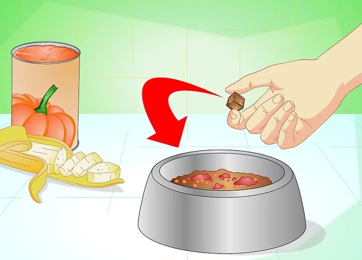 狗狗不吃狗粮怎么办?