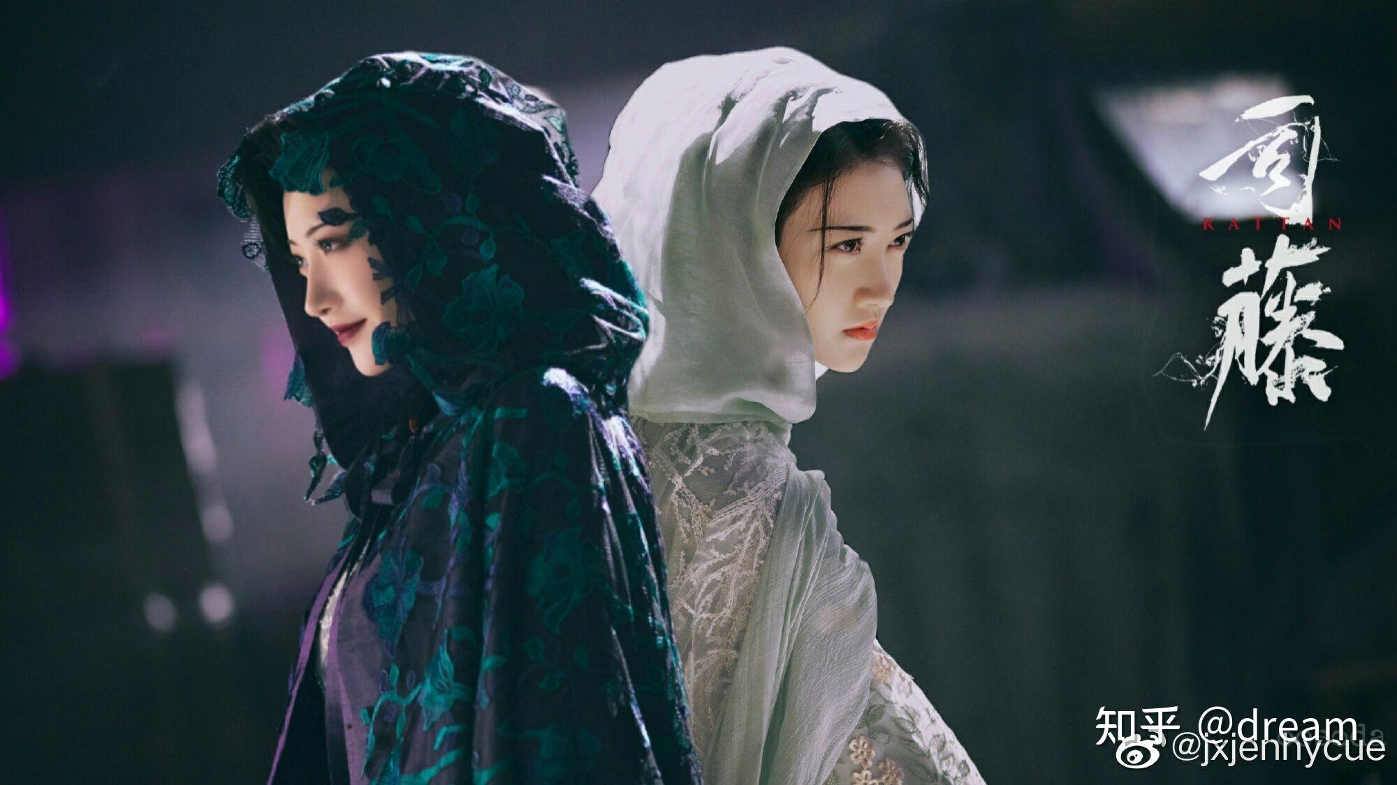 司藤小说讲的是什么 v2-cb4656905befbea0ac3d8019076f4118_r.jpg