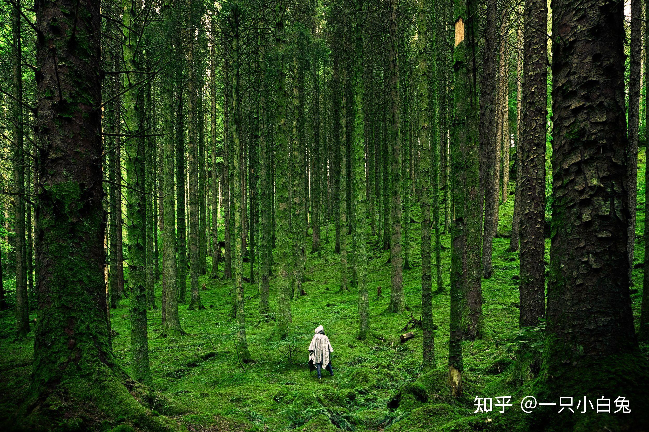 4k超清壁纸,就喜欢唯美风景壁纸 - 知乎