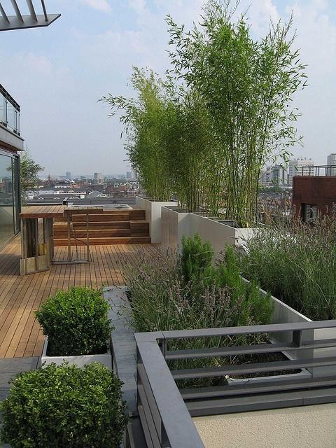 一个屋顶花园的美观性往往取决于植物的选用,建筑边缘线的处理以及众