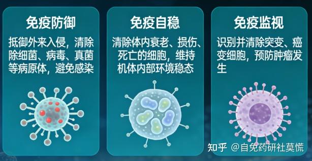 一文读懂:从免疫失衡到全球流行,带你看懂自身免疫病 - 知乎
