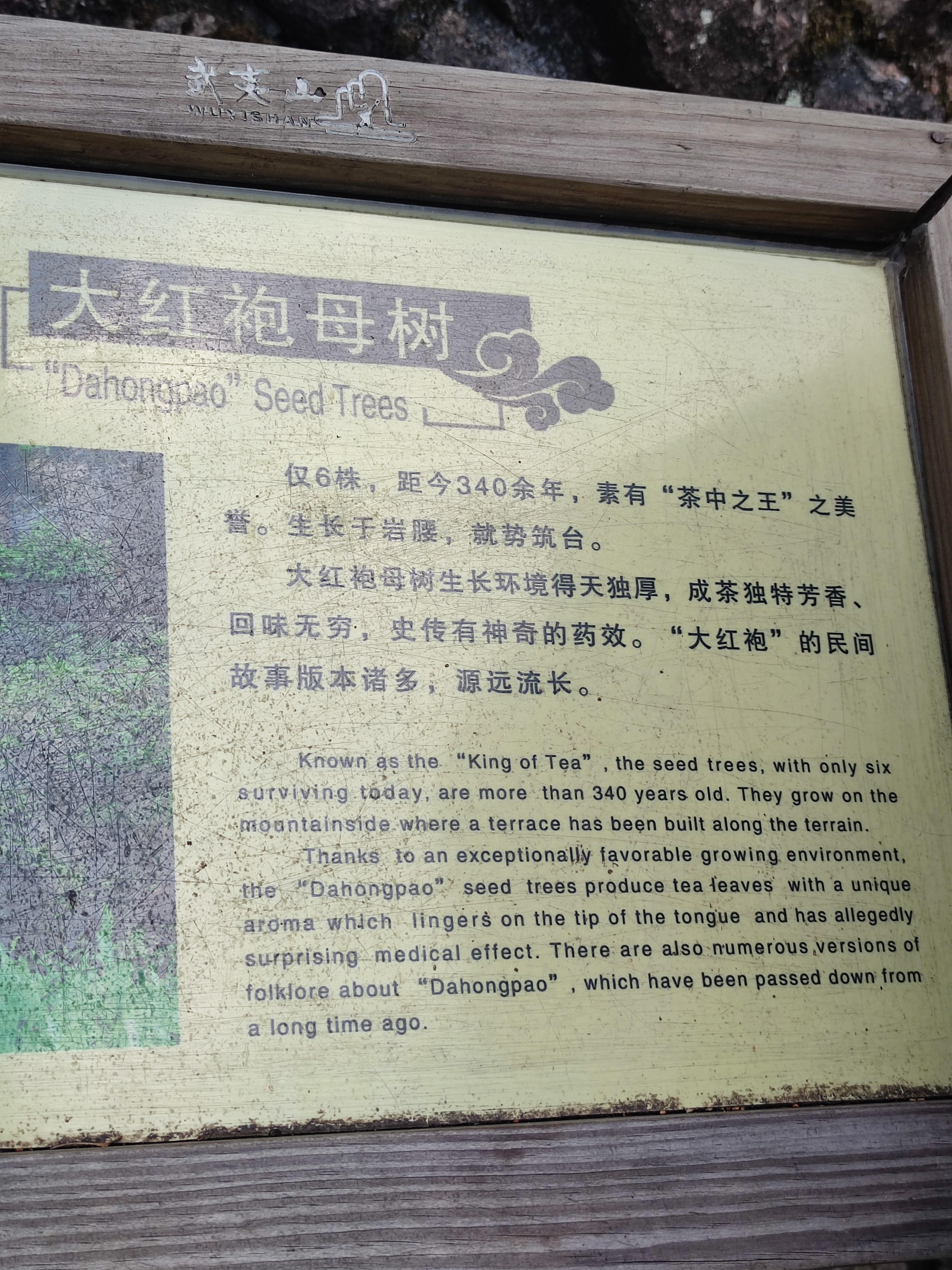 线路3 岩骨花香漫游道:大红袍到水帘洞