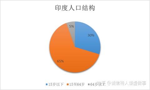 印度人口有多少病例_印度人口年龄结构图(3)