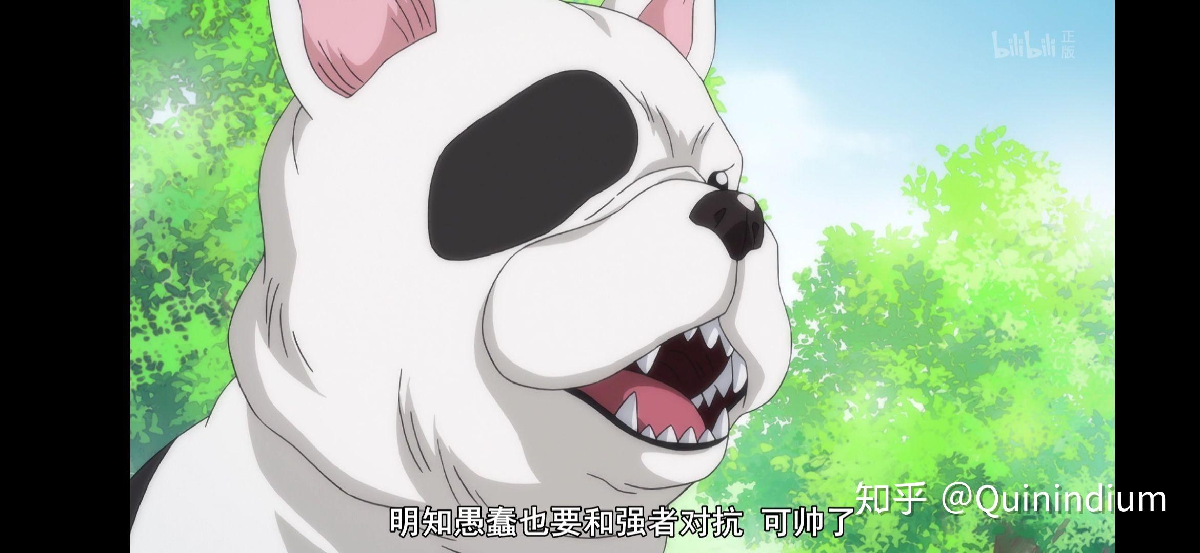 如何评价2020年1月新番织田肉桂信长