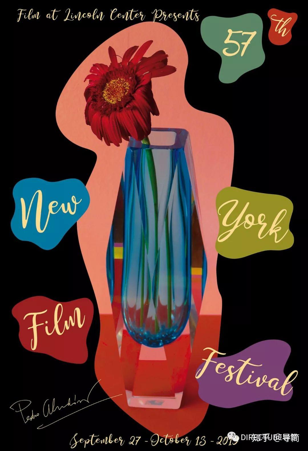 谁最懂阿莫多瓦