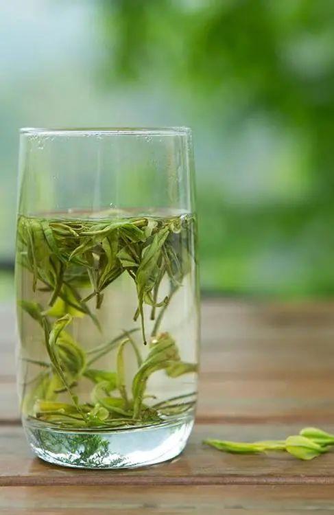 黄茶 | 黄小茶 霍山黄芽 -- 唐时以兵三千兵保护的茶 - 知乎