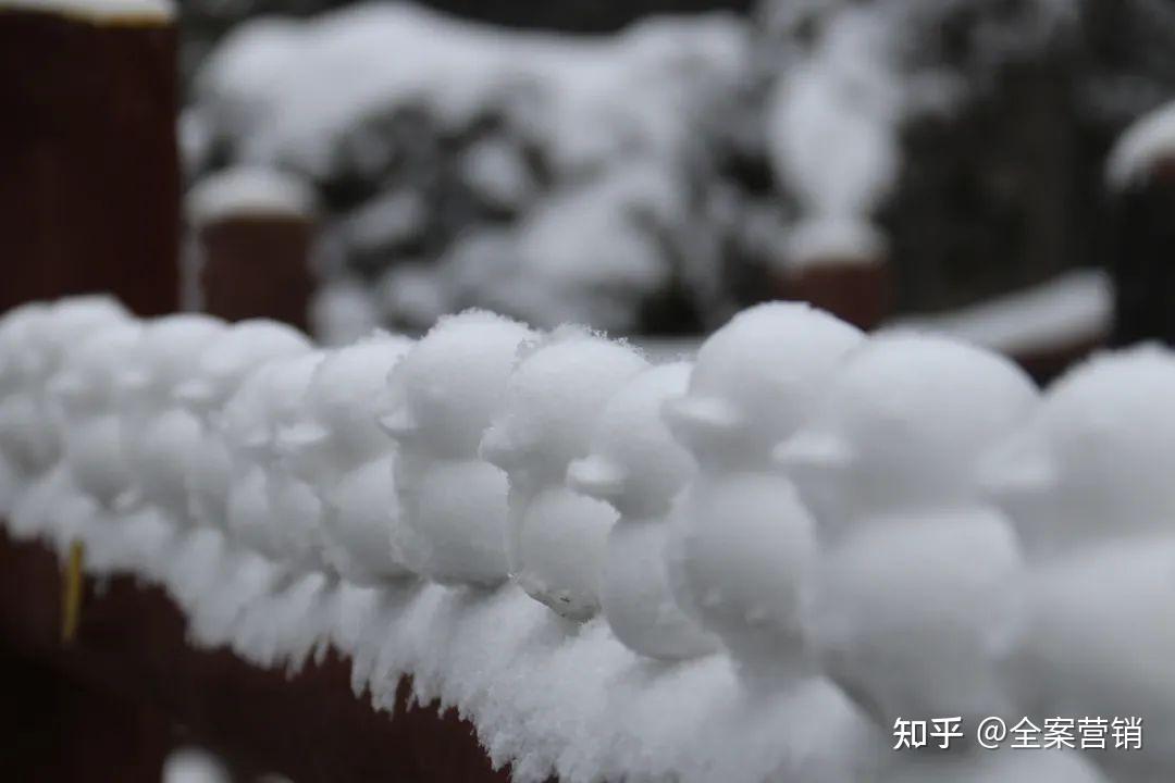 争创天府旅游名县|再见2022,细数那些时光里的小美好