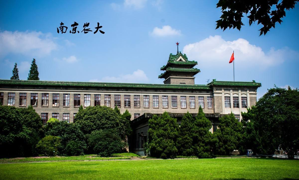 2020年南京农业大学mpacc高分学长复试经验分享