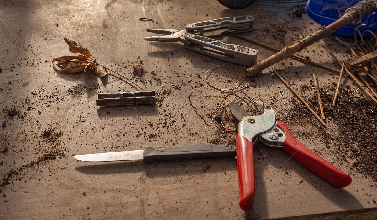 3. 动画制作平台