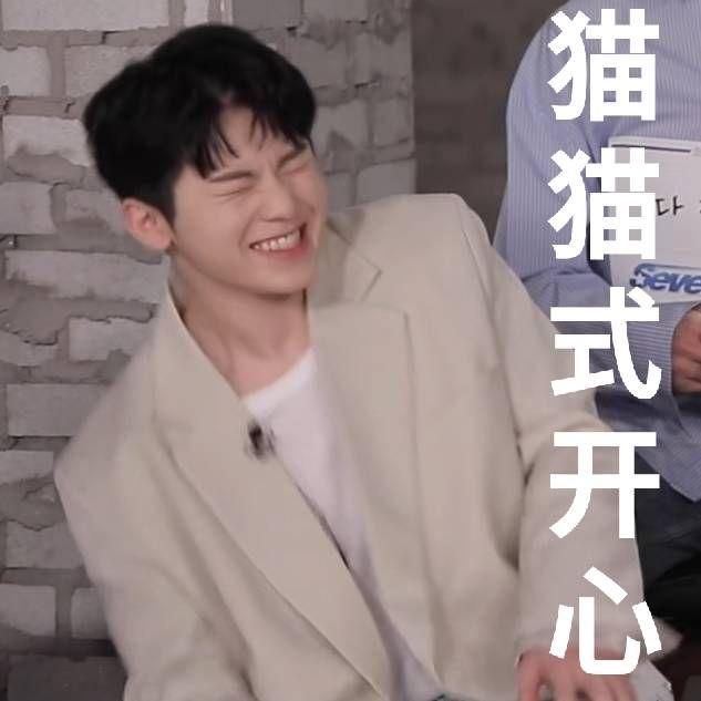 你有和seventeen相关的表情包嘛