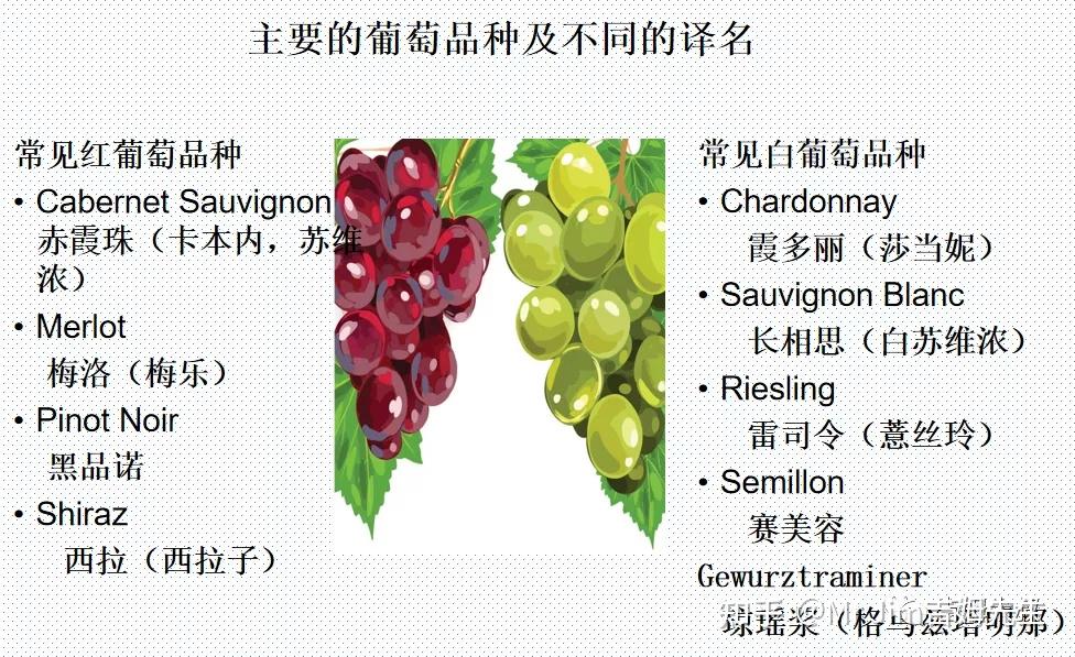 时常因为葡萄品种的中文的译名发生混淆.
