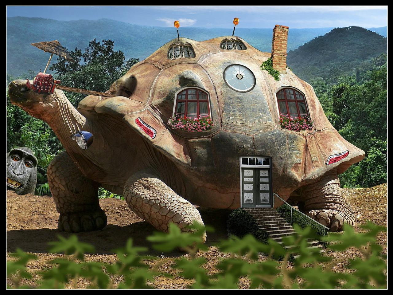 2. 客厅角落摆放