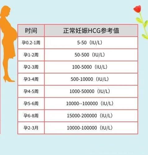 hcg,人绒毛膜促进腺激素,是胎儿产生的激素,在受精后的第六天身体就