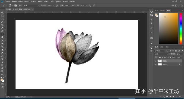 软件ps|画笔工具 - 知乎