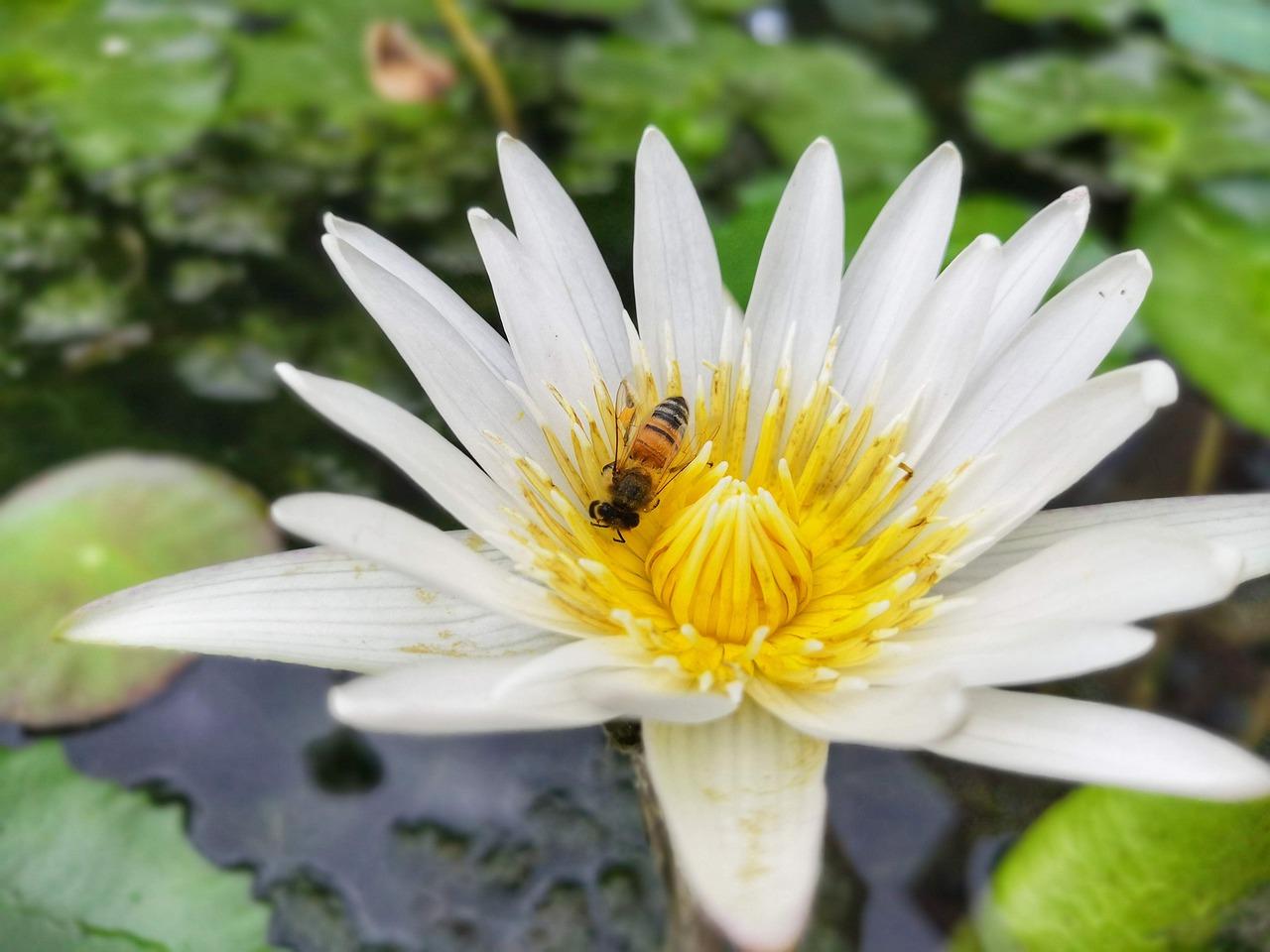 3. 比较花色深浅